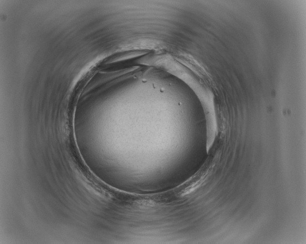 X0000076320392200610161649