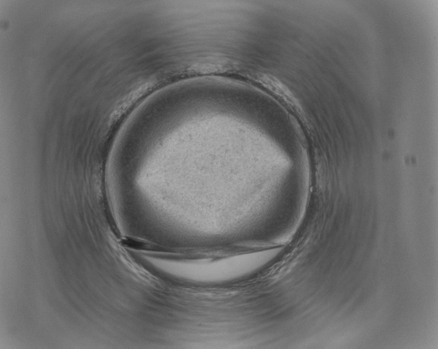 X0000076320393200610161649