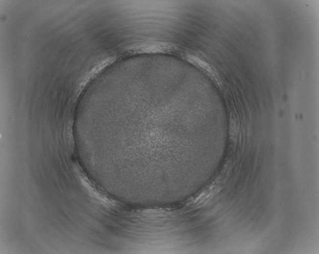 X0000076320394200610161649