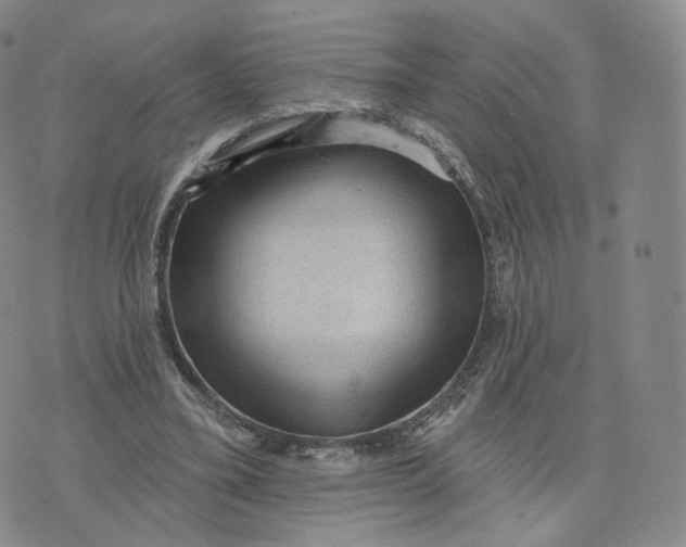 X0000076320395200610161649