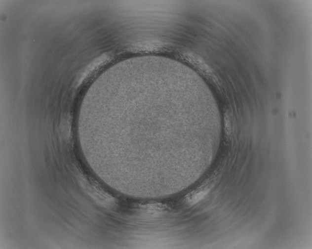 X0000076320396200610161649