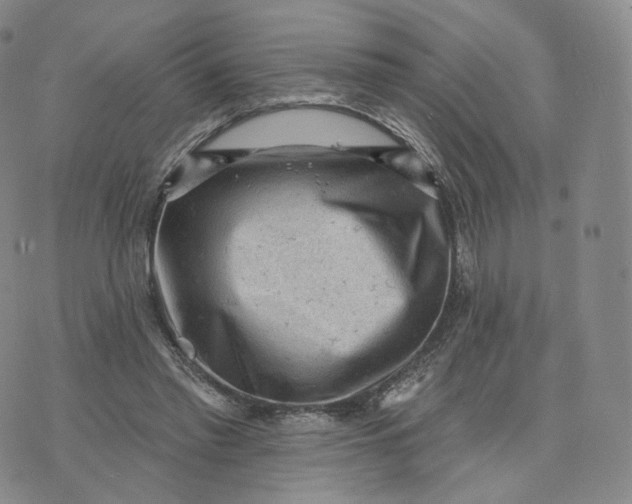 X0000076320397200610161649