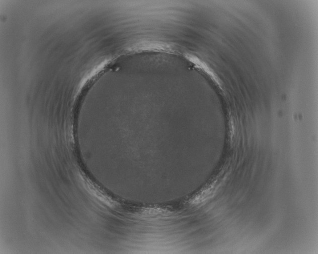 X0000076320399200610161649