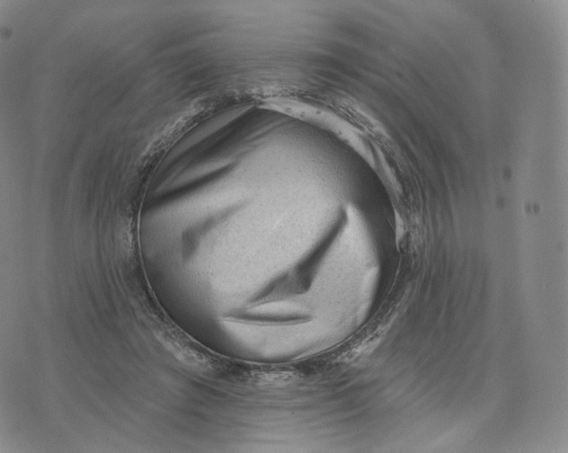 X0000076320401200610161649