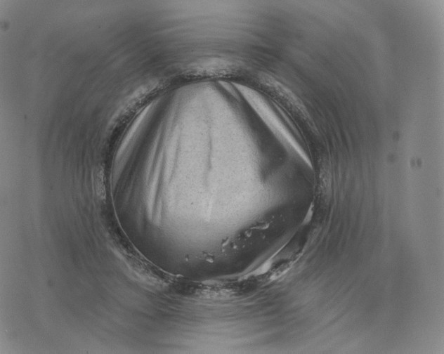 X0000076320403200610161649