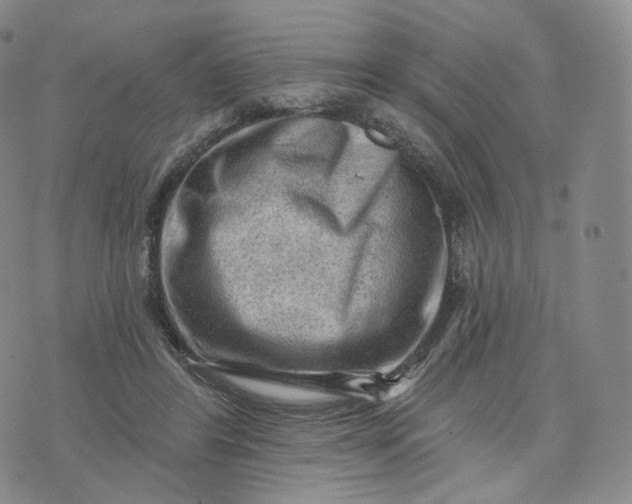 X0000076320404200610161649