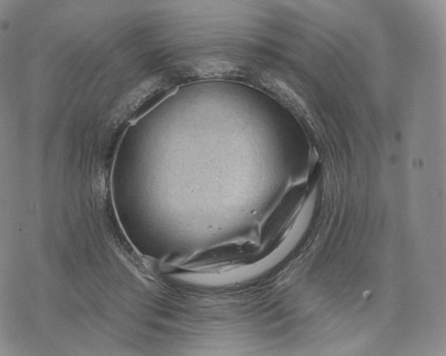 X0000076320405200610161649