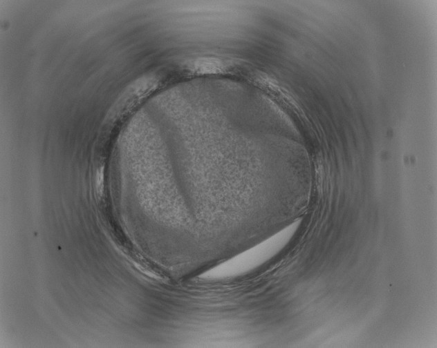 X0000076320406200610161649