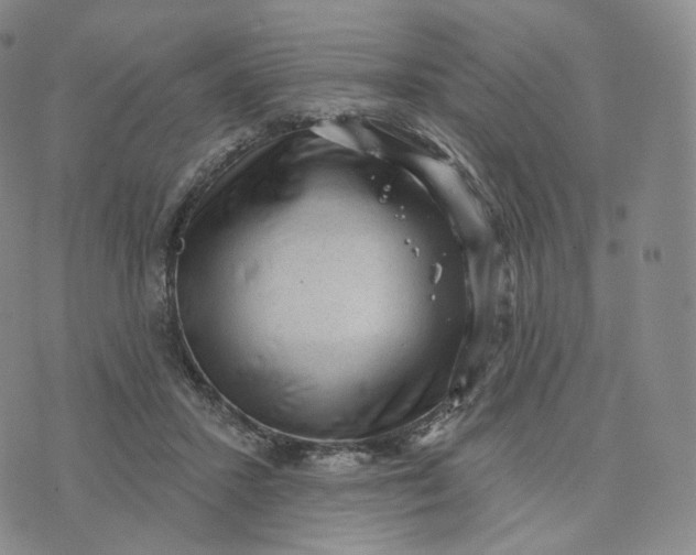 X0000076320407200610161649