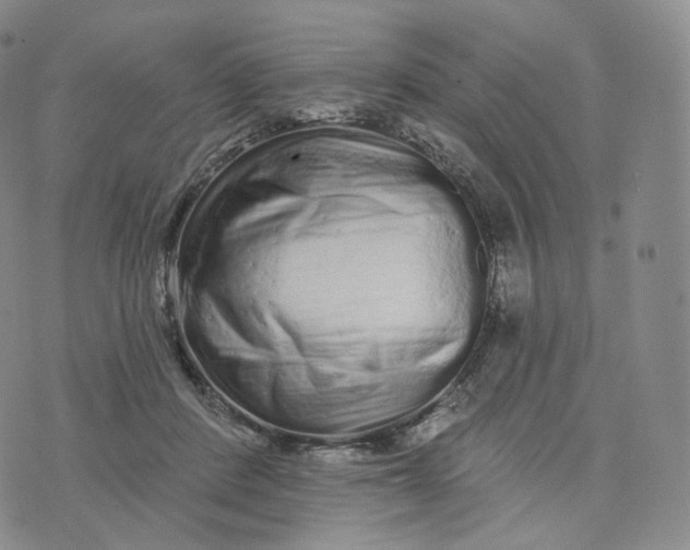 X0000076320408200610161649