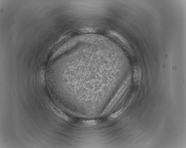 X0000076320409200610161649