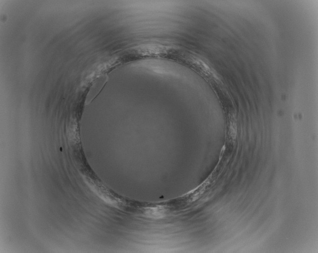 X0000076320411200610161649