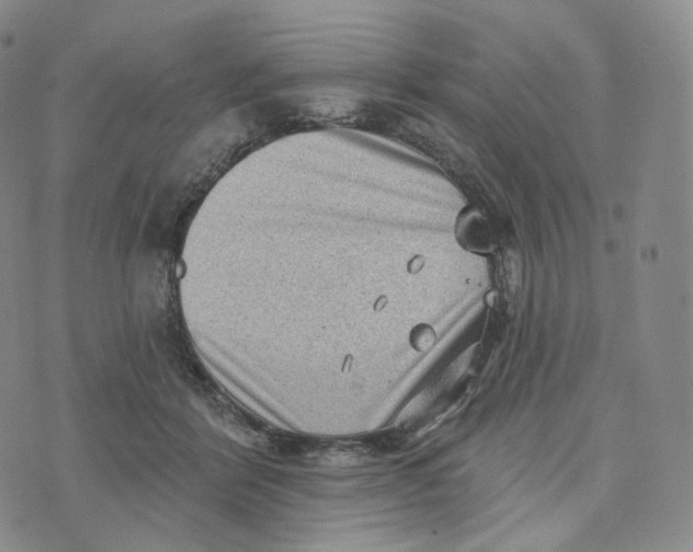 X0000076320412200610161649