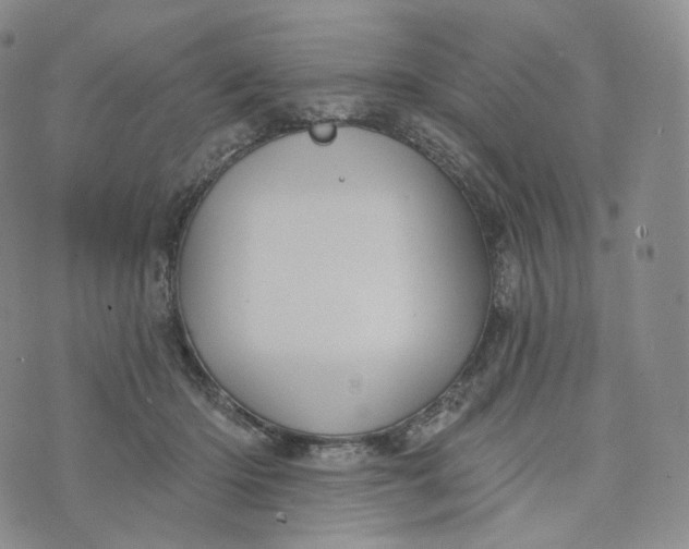 X0000076320414200610161649