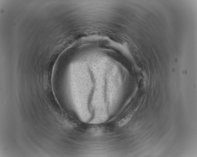 X0000076320416200610161649