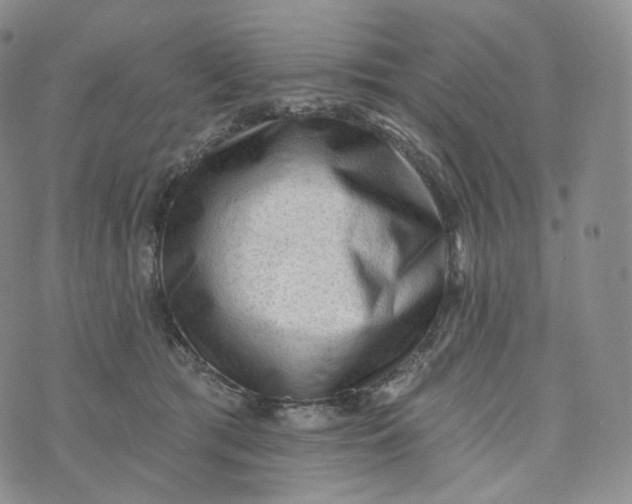 X0000076320417200610161649