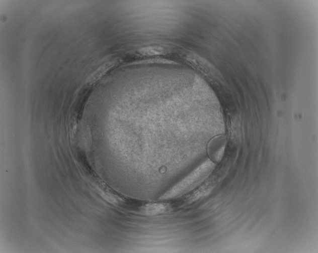 X0000076320418200610161648