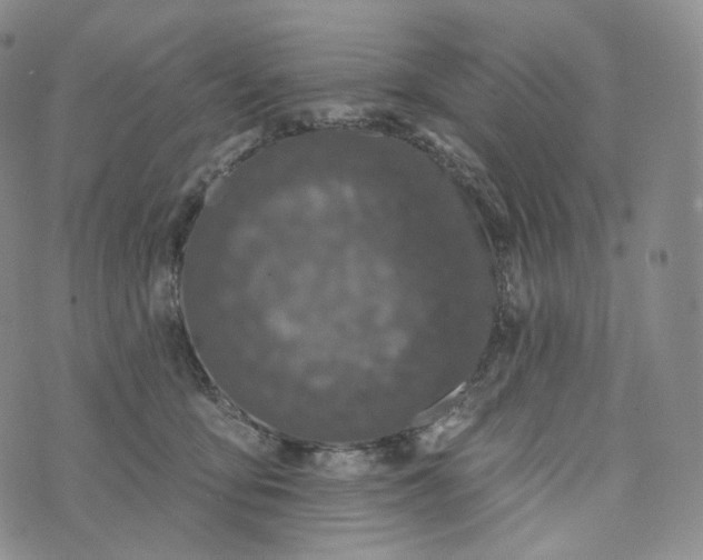 X0000076320419200610161648