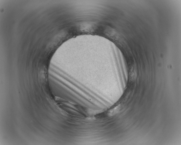 X0000076320424200610161648