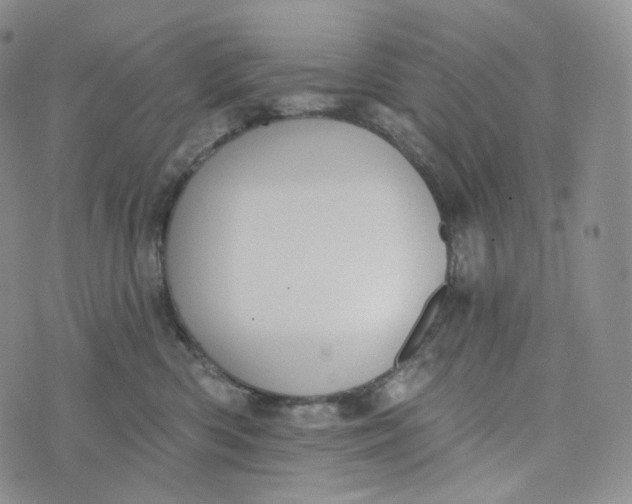 X0000076320426200610161648