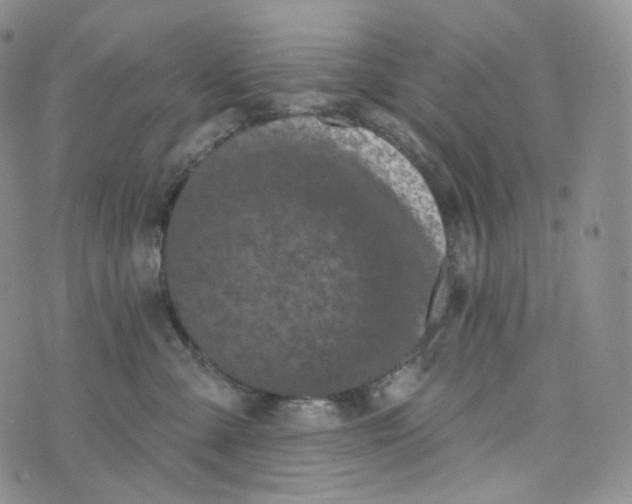 X0000076320427200610161648