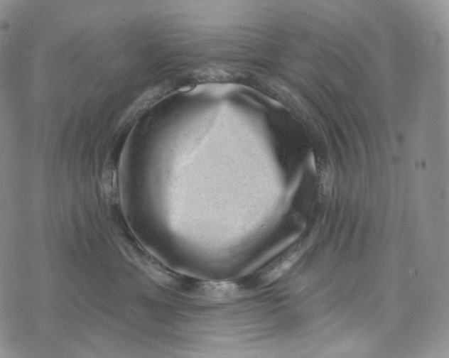 X0000076320429200610161648