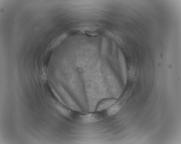 X0000076320430200610161648