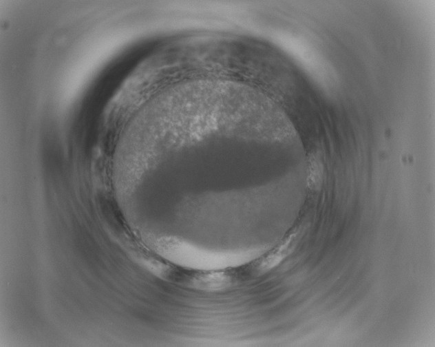 X0000076320431200610161648