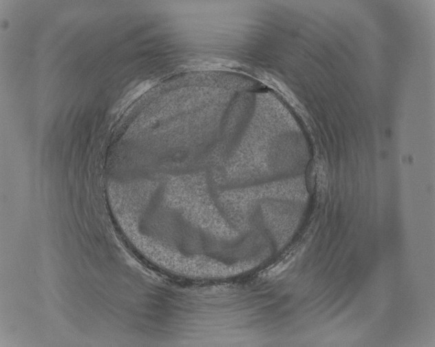 X0000076320433200610161647