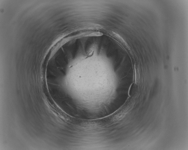 X0000076320435200610161648