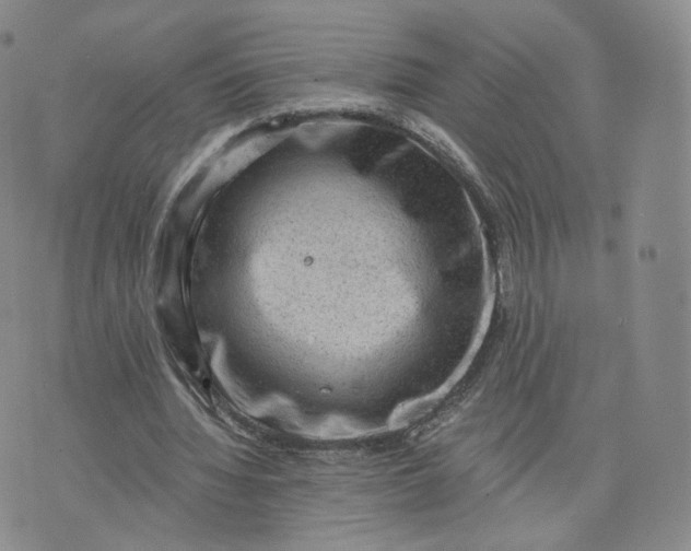 X0000076320436200610161648