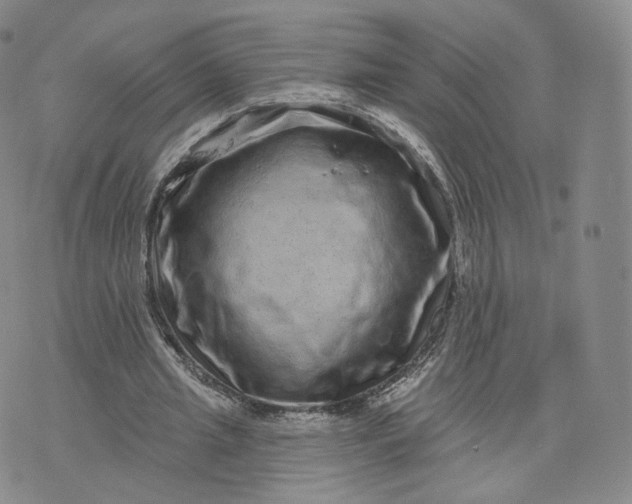 X0000076320437200610161648