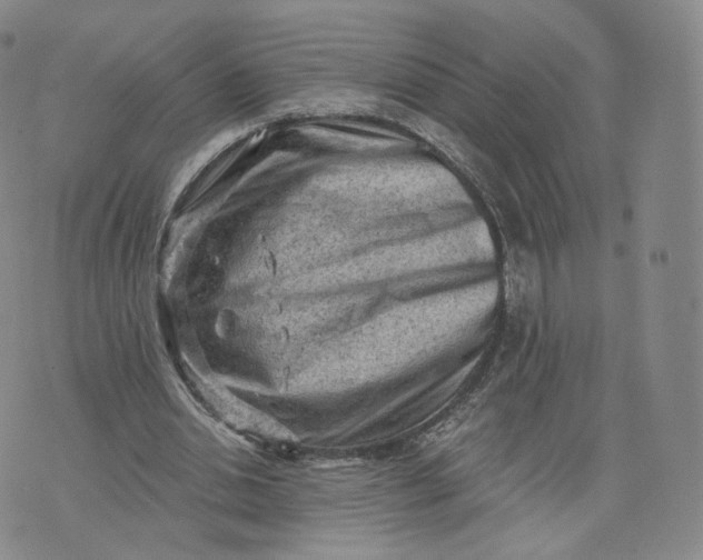 X0000076320438200610161648