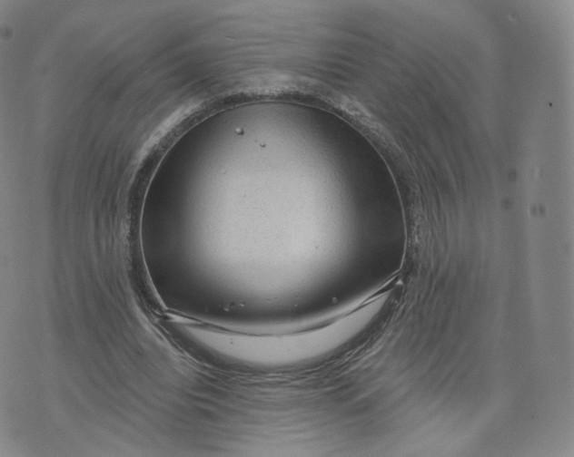 X0000076320440200610161648