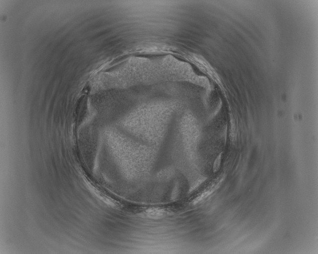 X0000076320441200610161648