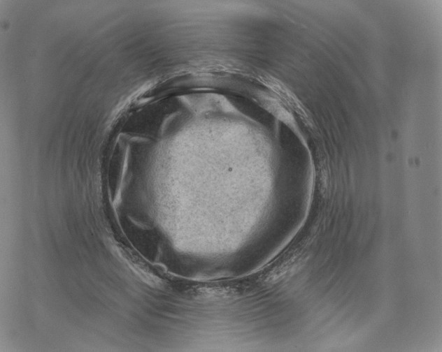 X0000076320442200610161648