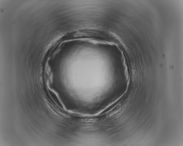 X0000076320443200610161648