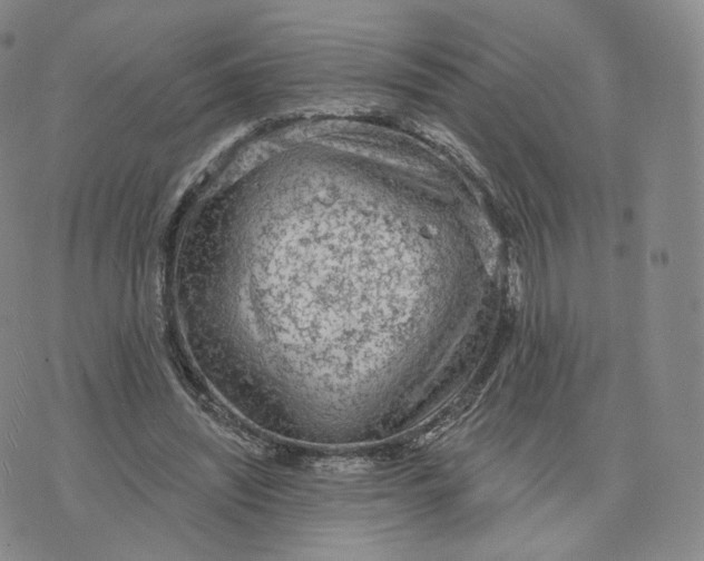 X0000076320444200610161648