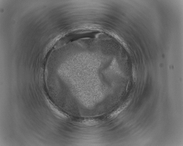 X0000076320445200610161648