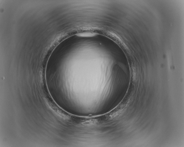 X0000076320447200610161648