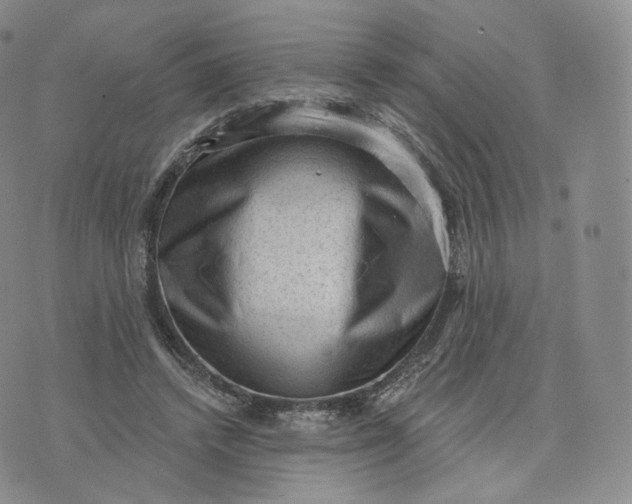 X0000076320448200610161648