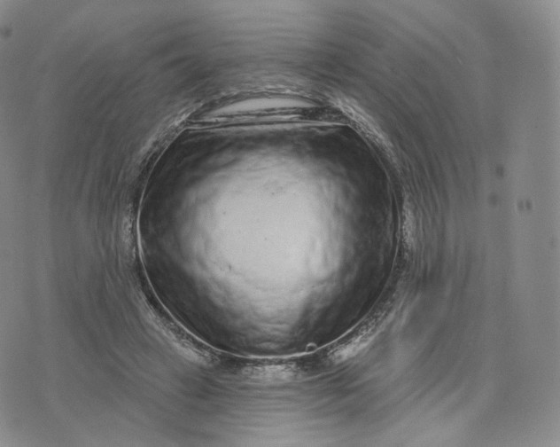 X0000076320449200610161648