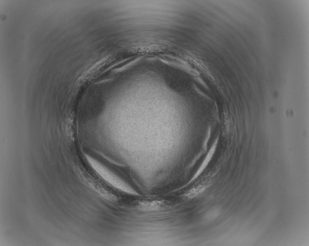 X0000076320450200610161648