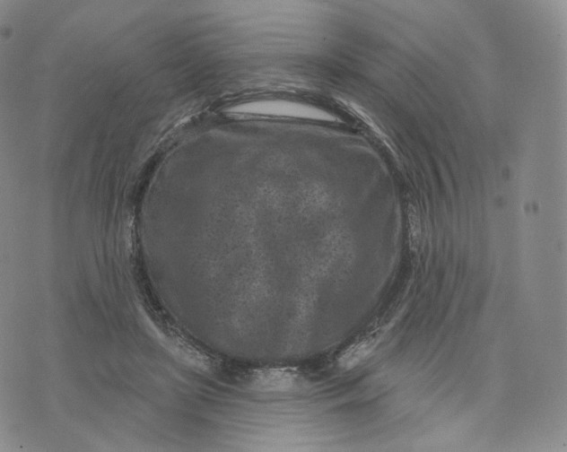 X0000076320451200610161648