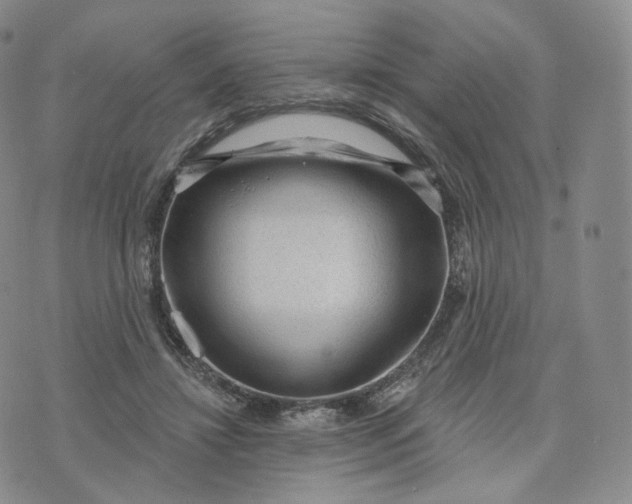 X0000076320452200610161648