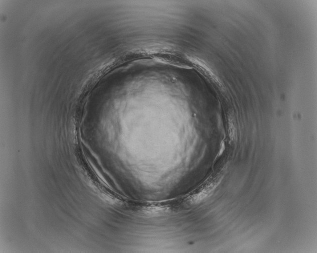 X0000076320453200610161648