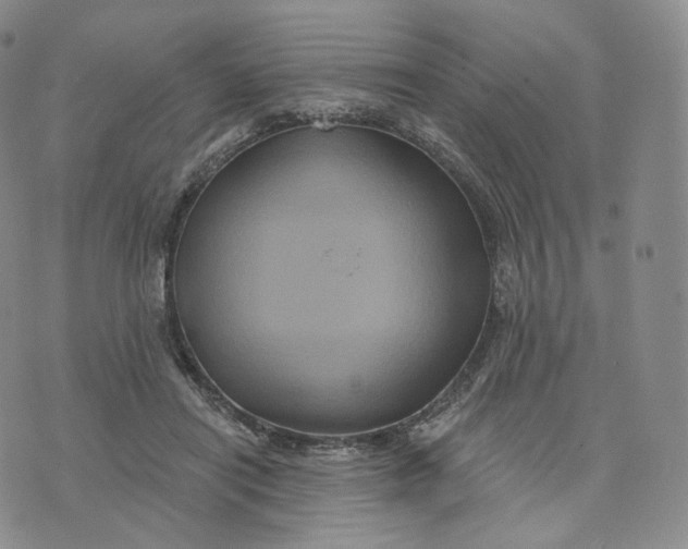 X0000076320454200610161648