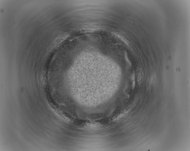 X0000076320455200610161648