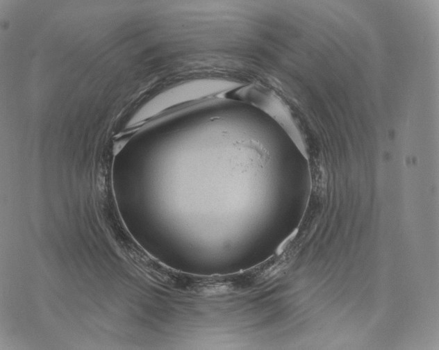 X0000076320456200610161648