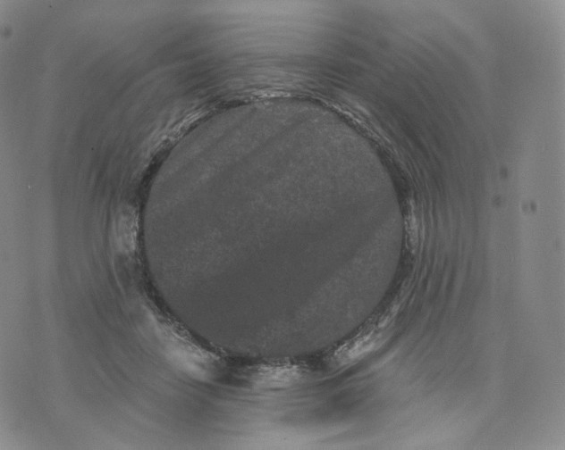 X0000076320458200610161648